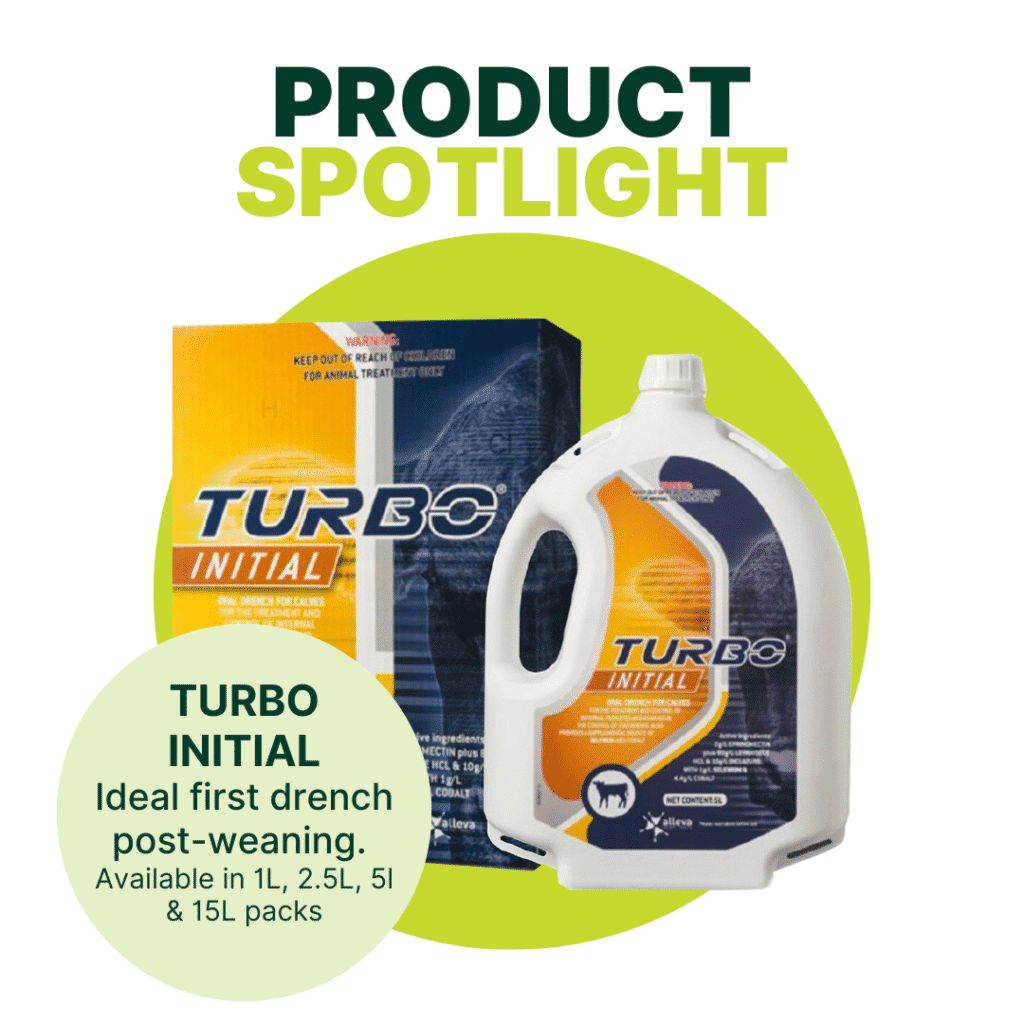 AUGUST 2025 Promos 1080 x 1080 px (17)