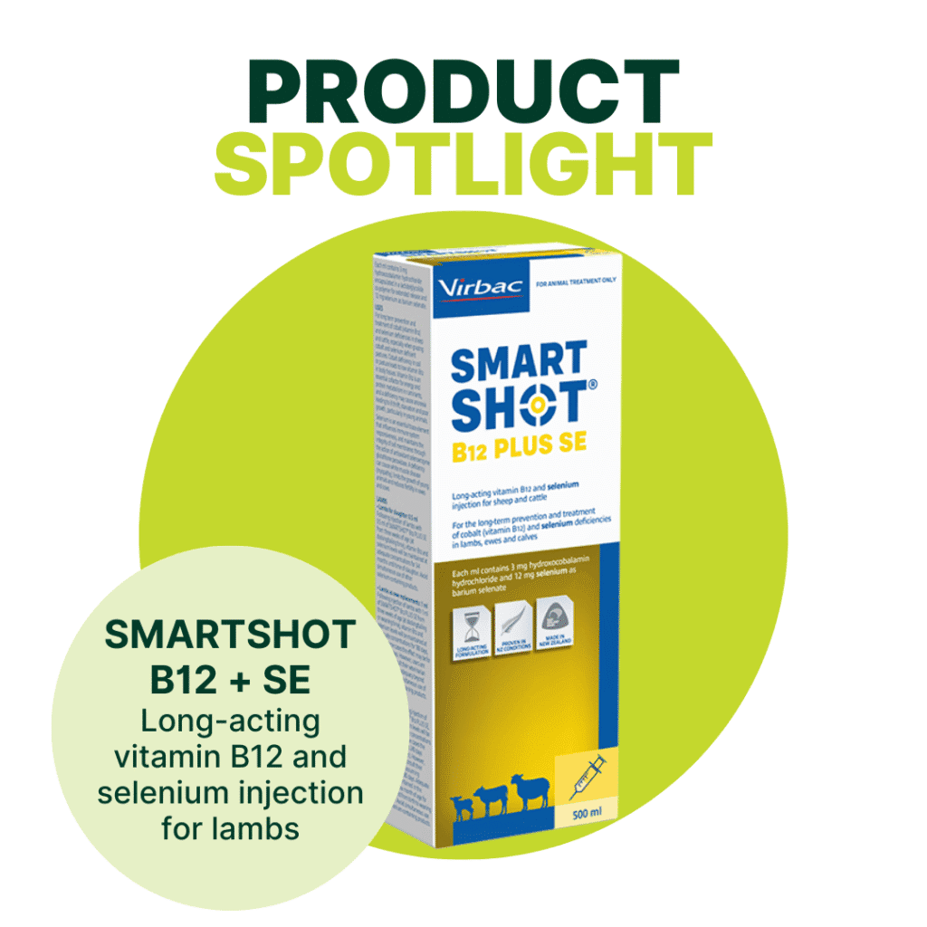 AUGUST 2025 Promos 1080 x 1080 px (19)