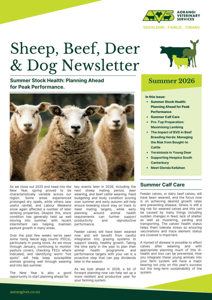 Aorangi Vet Services - Sheep, Beef, Deer & Dog Newsletter.