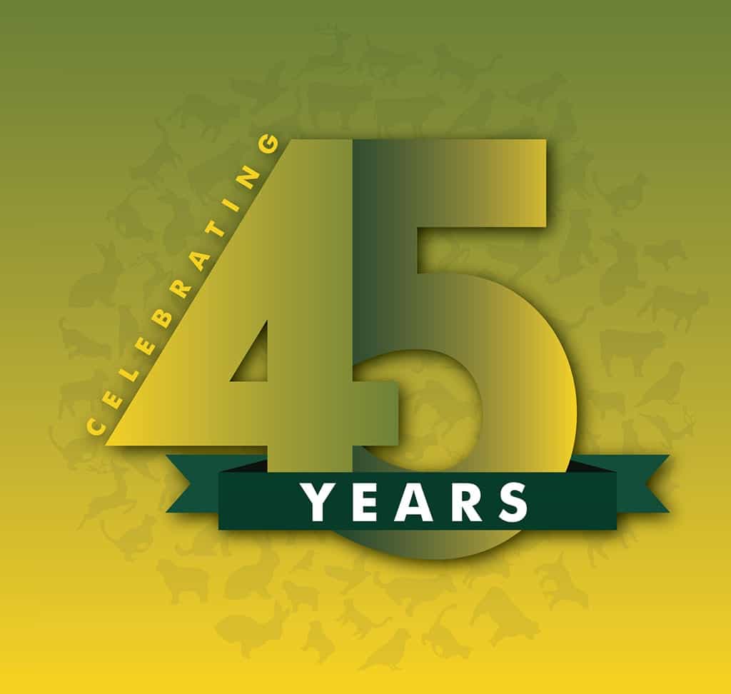 AVS-Website-Mobile-home