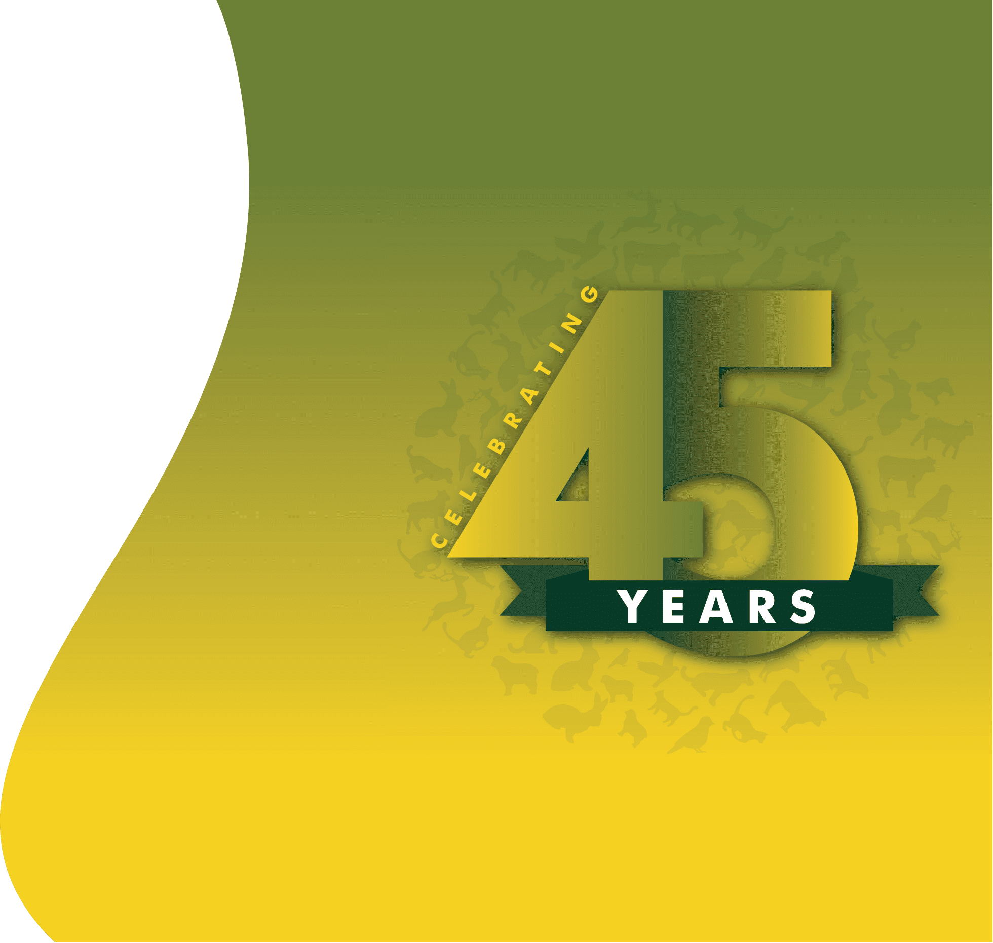 AVS-Website-Wrapup-home AVS-Website-Wrapup-home