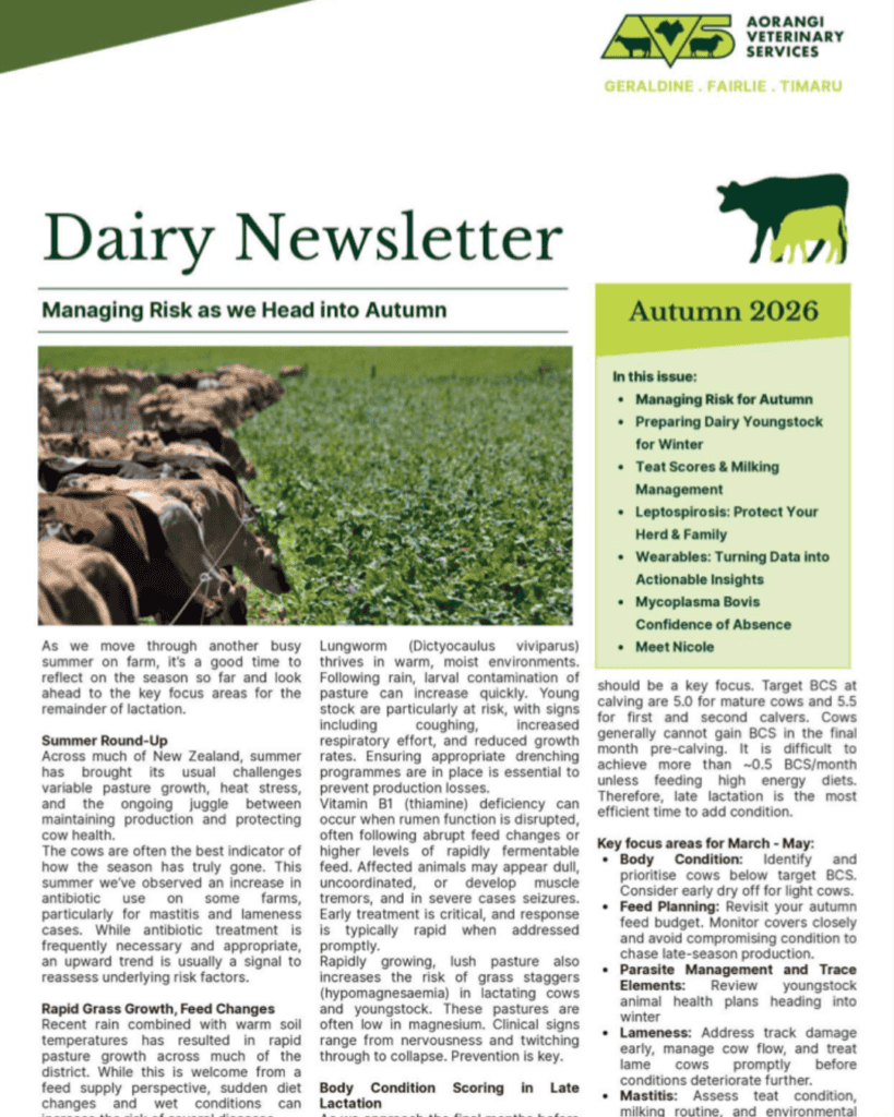 Spring Newsletter Cover 2026