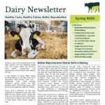 Cover Dairy Newsletter