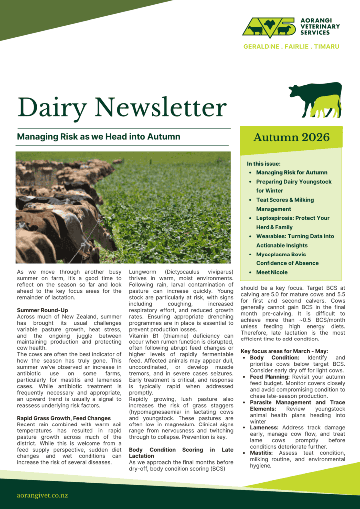 Dairy Newsletter Autumn 26