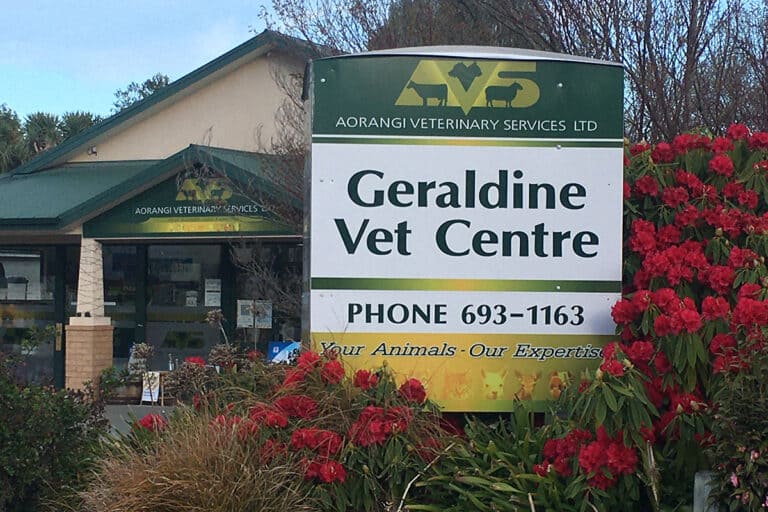 Geraldine Clinic Aorangi Vet Services