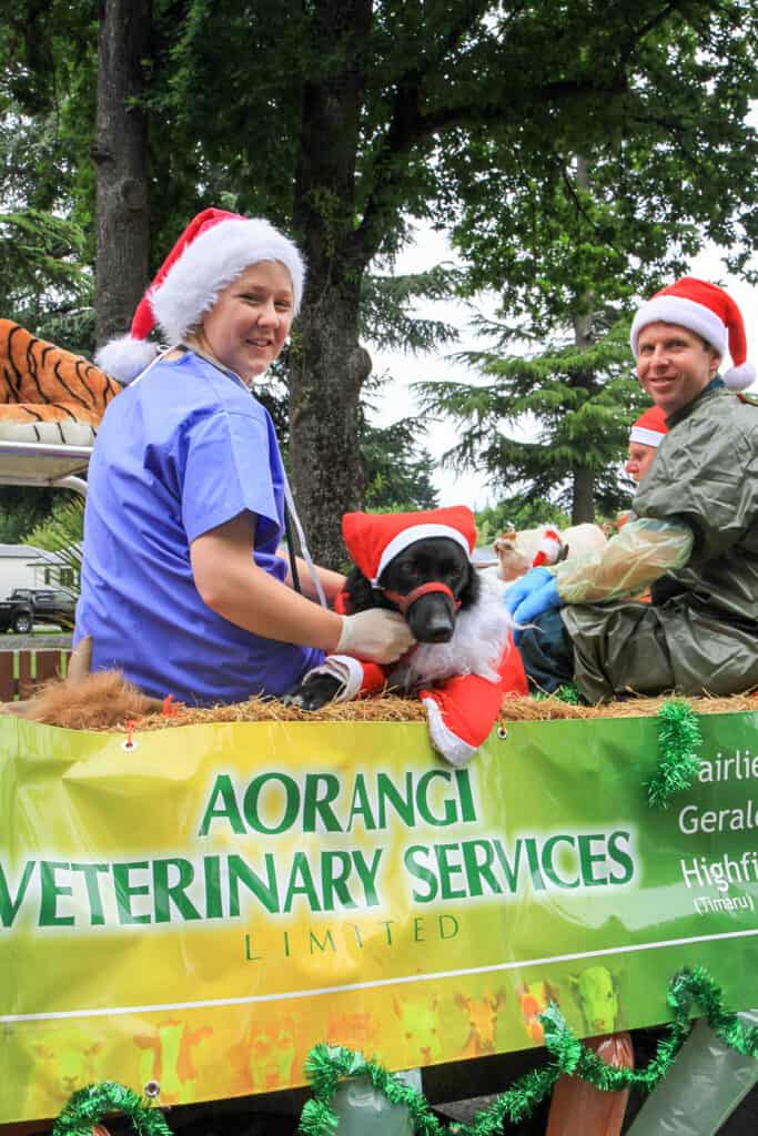 Geraldine Christmas parades Aorangi Vet Services