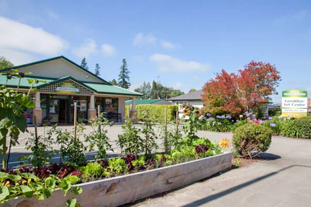 Geraldine-community-garden