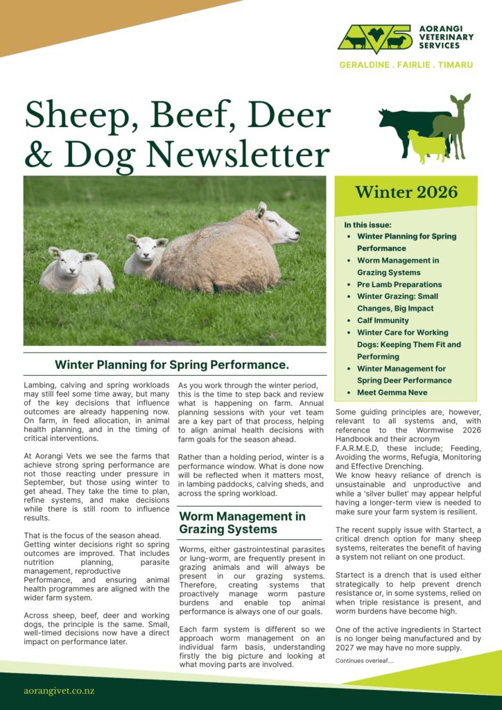 SBD Newsletter Winter 2026