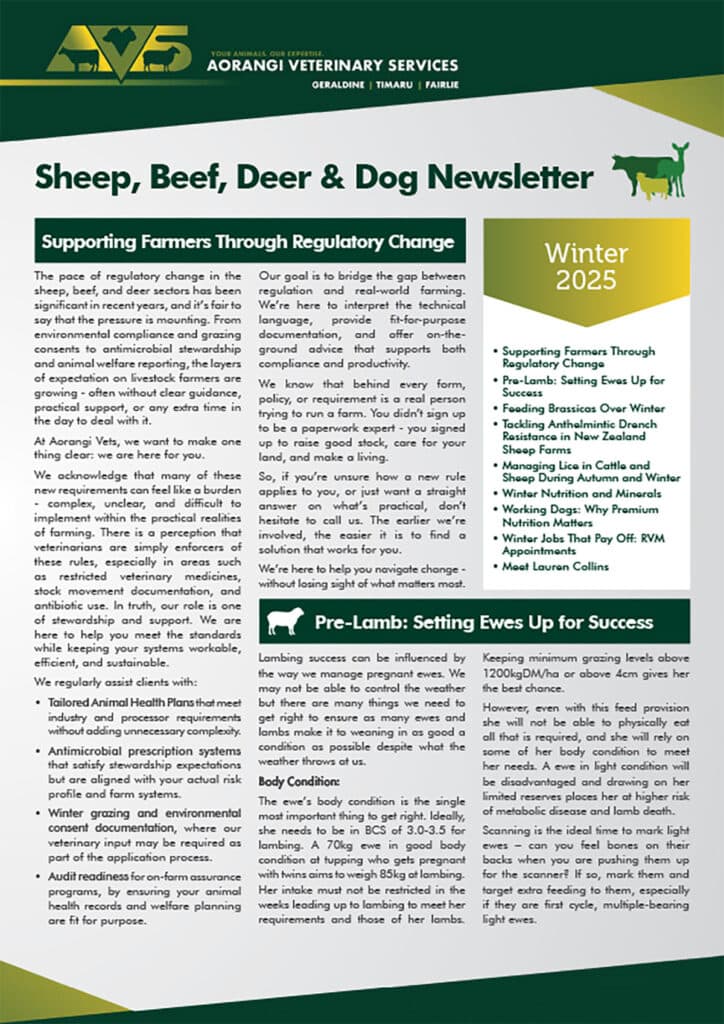 Sheep Beef Deer and Dog Newsletter Winter 2025
