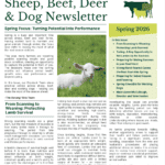 Sheep, Beef, Deer and Dog Newsletter