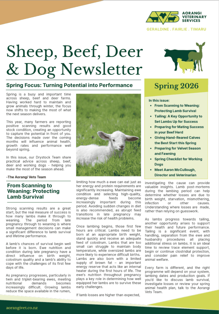 Sheep, Beef, Deer and Dog Newsletter