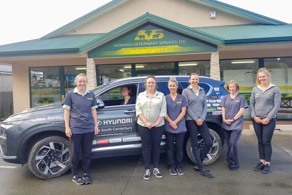 geraldine-team-hyundai